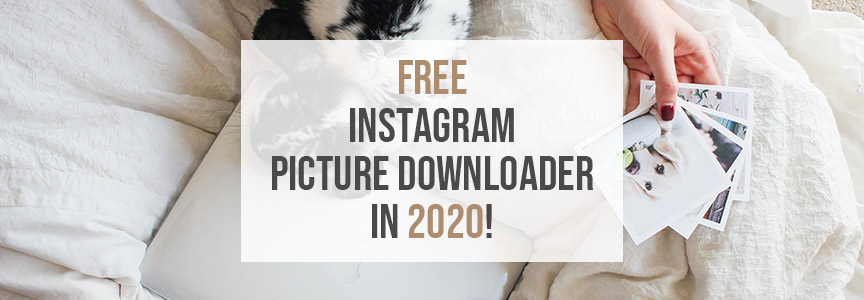 Free Instagram Picture Downloader in 2023! No Loss In Quality [updated]