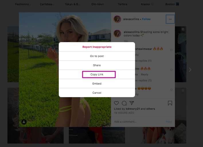 Hit the button Copy URL