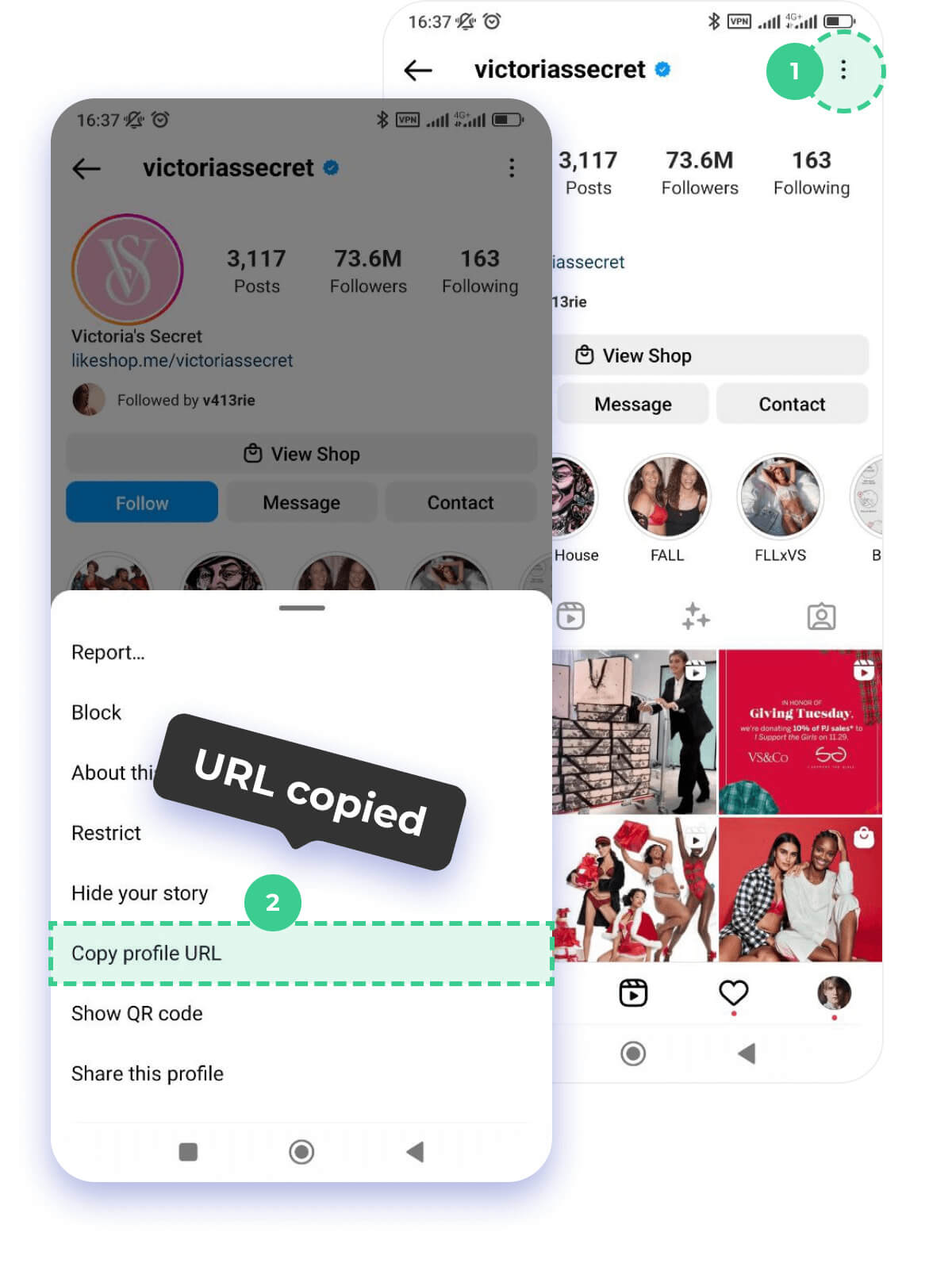 How to use the online viewer for Instagram?