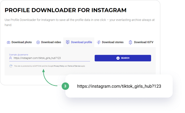 Instagram Profile Downloader: Save Quality Profile Pictures