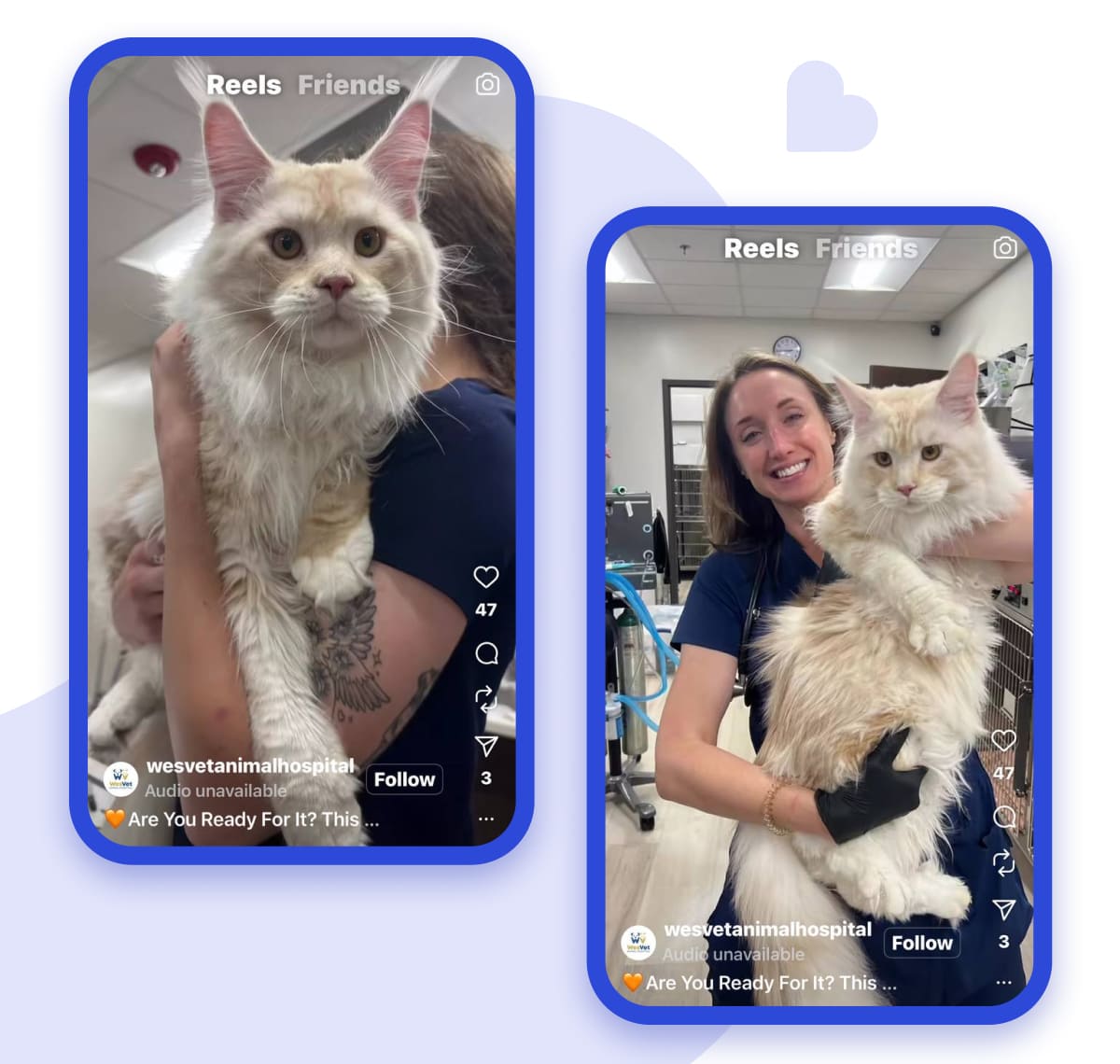 wesvetanimalhospital IG account