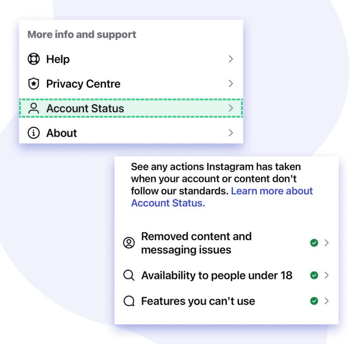 IG account status check