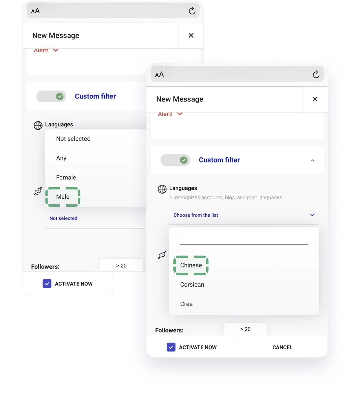 DM automation tool