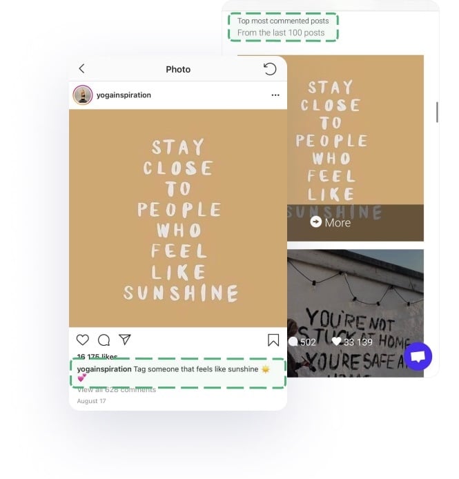 the Inflact User Search