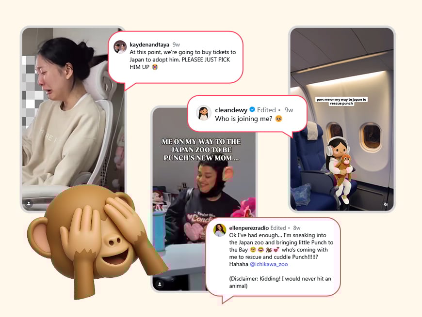 Japan’s monkey Punch viral case