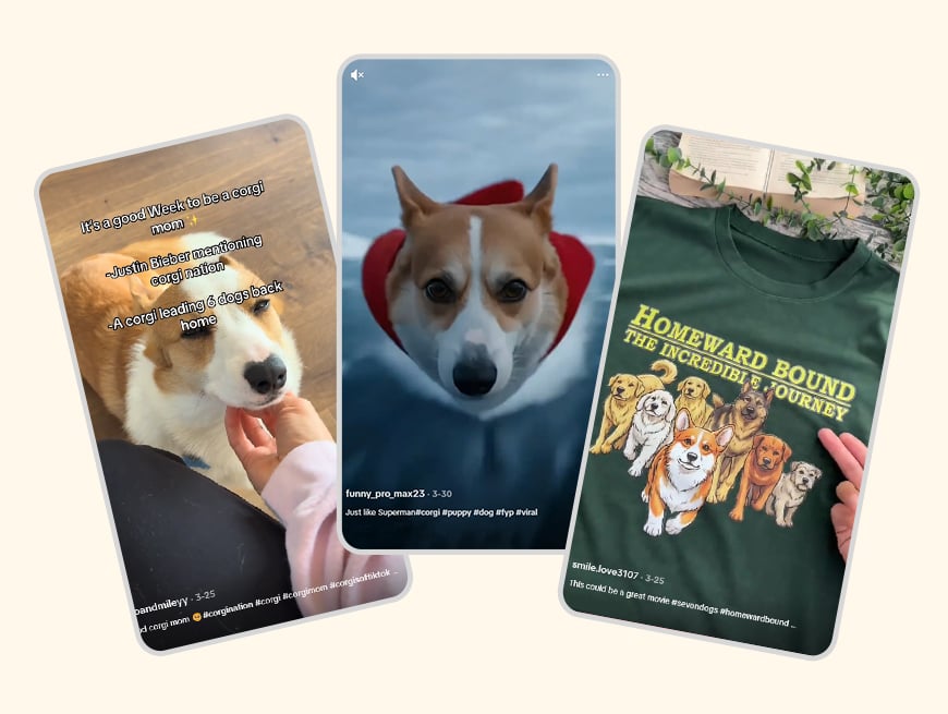 The epic dogs escape case