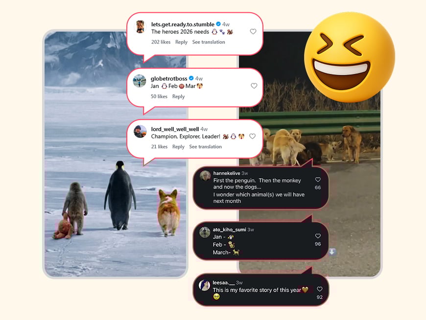 Predicting the next viral animal trend