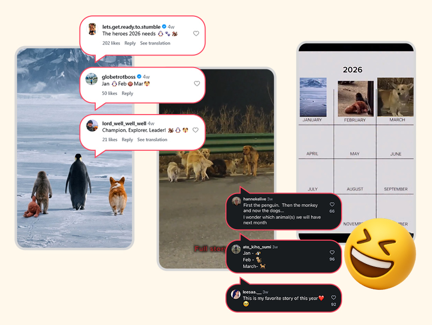 Predicting the next viral animal trend