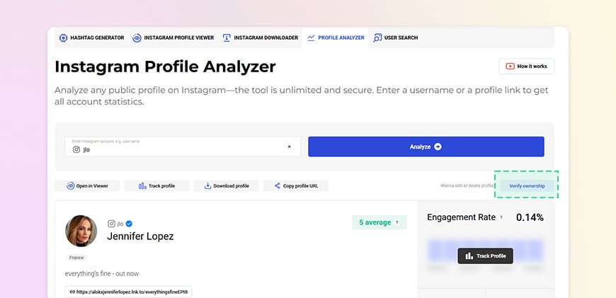 Profile Analyzer Page