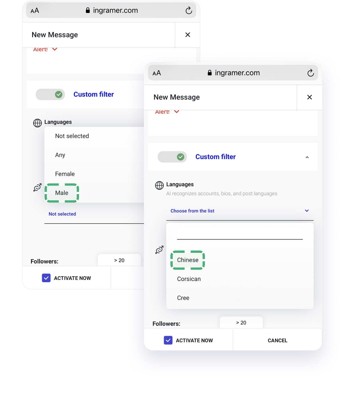 DM automation tool