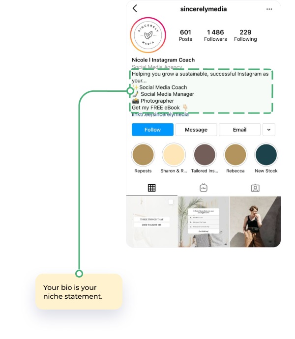 Instagram bio stimulate sales