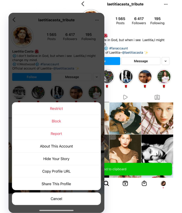 Download Instagram photo copy link