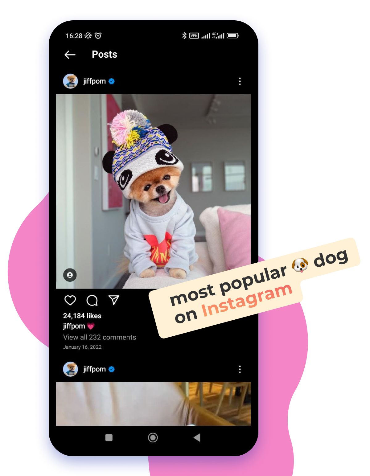 Dog hashtags for Instagram likes best Ig tags for dog accounts