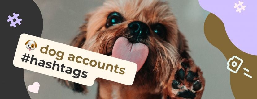 The Best Hashtags for Dog Accounts: How to Make Your #Dog Super Insta-Famous