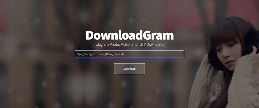 instagram downloader online