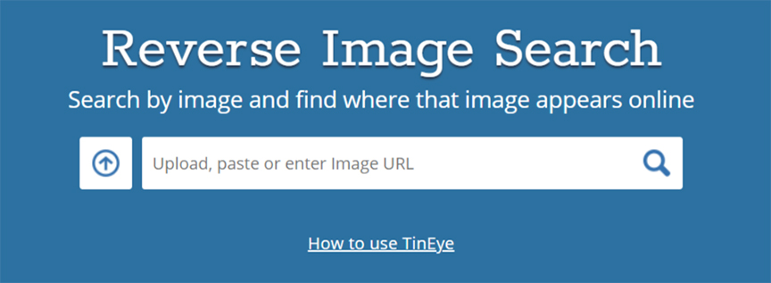 Instagram Image Search to Find Instagram Profile by Photo using Face Search  Engine