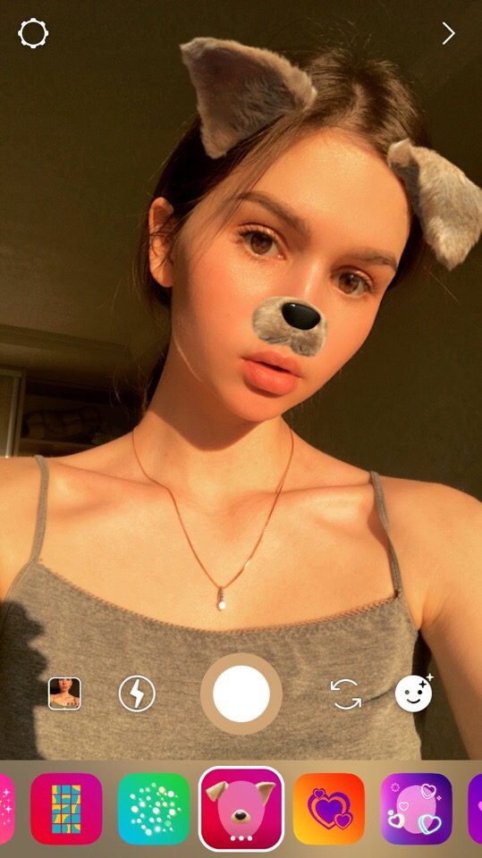 puppy face filter instagram