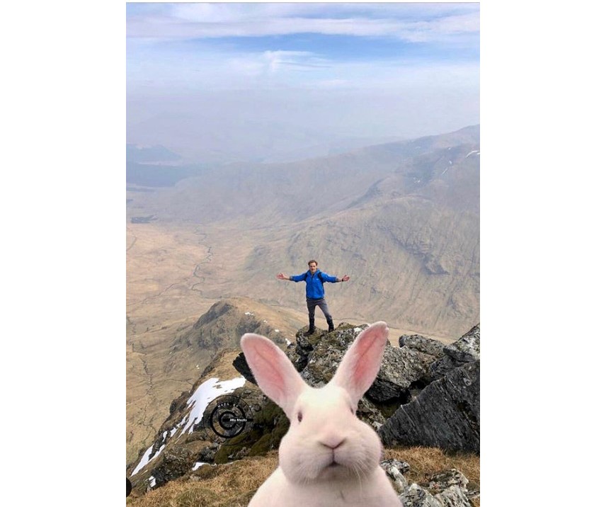 a man and a rabbit