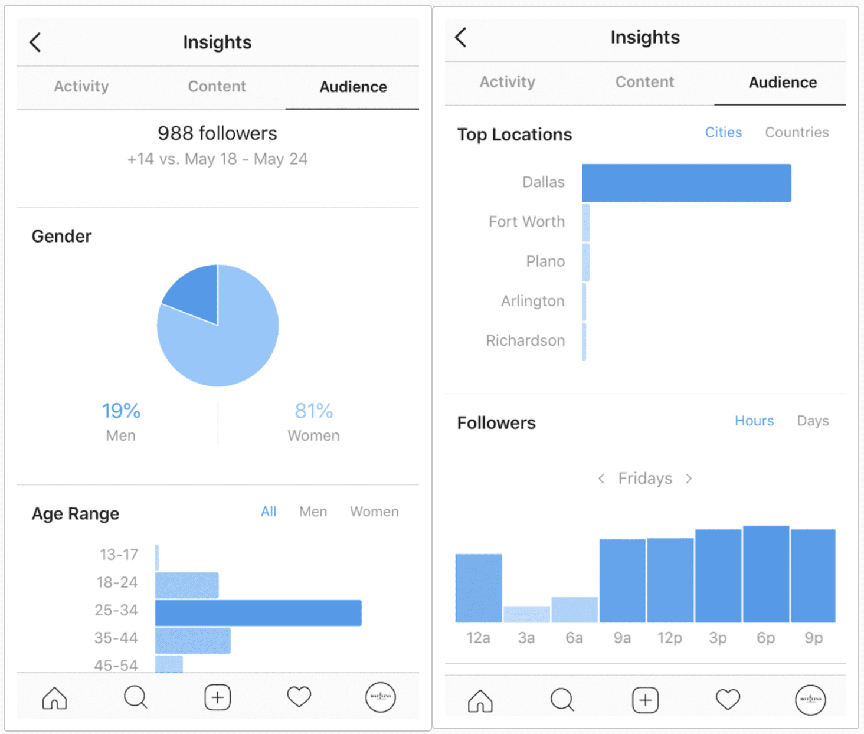 Instagram statistics screenshot