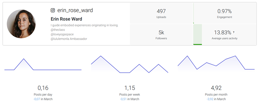 instagram profile analysis